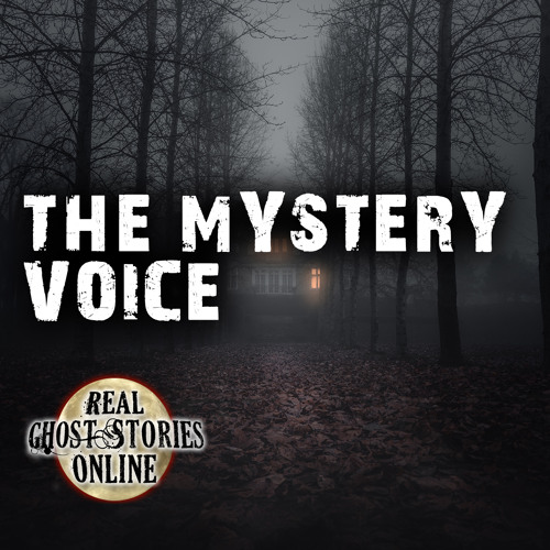 The Mysterious Voice | Real Ghost Stories