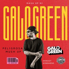 DJGALOGREEN - SHAGGY X KONSHENS PELIGROSA MASH UP (VOL1)