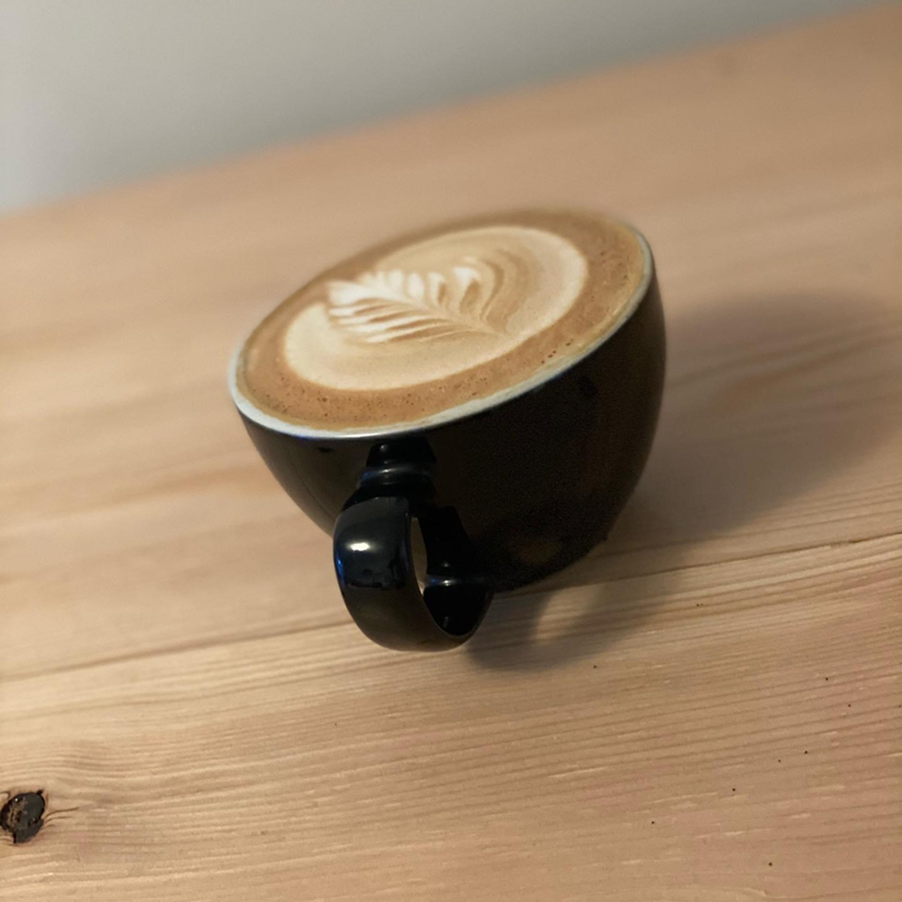 CAFÉ | Les 6 meilleurs endroits pour boire un café à Québec episode artwork