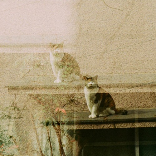 Stream Kitchen Sink Mix By Modem Island Listen Online For Free On