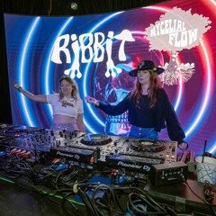 Mycelial Flow B2B R!bbit