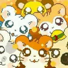 太鼓ウェブ  -Hamtaro Tottokou Uta~ Norinori de Chu~
