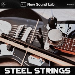 NSL024 Steel Strings Preview