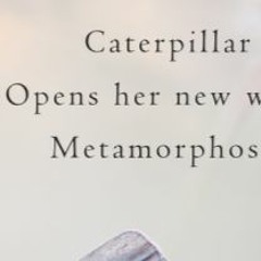 Opens her new wings (naviarhaiku503)