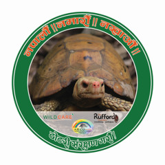 Tortoise Conservation Radio Jingle