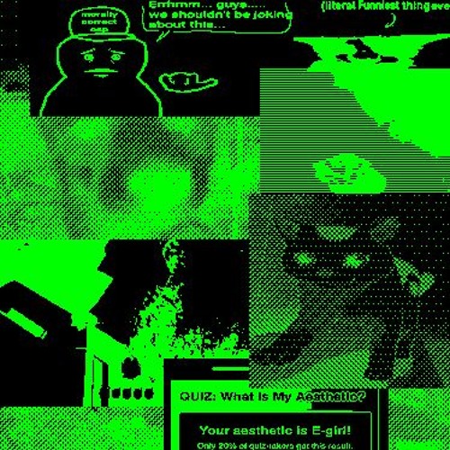 10 Harms Were songed 🐱In The Making Of This Harm 8
