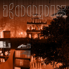 Unrealistic Turtle from Hanoi