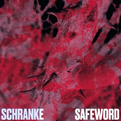 Premiere: SCHRANKE "Safeword" (Metaraph Remix)