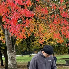 Viva La Vida - Coldplay (Cover)