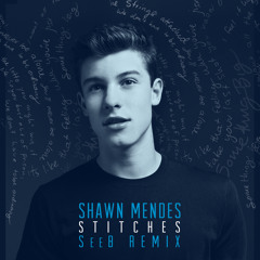 Stitches (Seeb Remix)