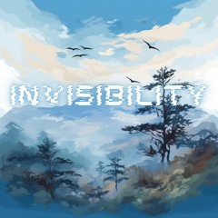 Invisibility