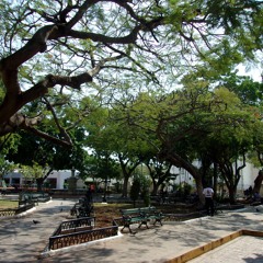 these songs feel like a sunday . in fall.