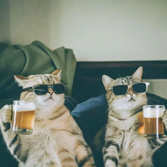 Winter in Germany  Trong Ha x VTmusic !