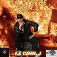LL Cool J - Sway Freestyle -(Tenasede Case Closed Bulldog Mix).mp3