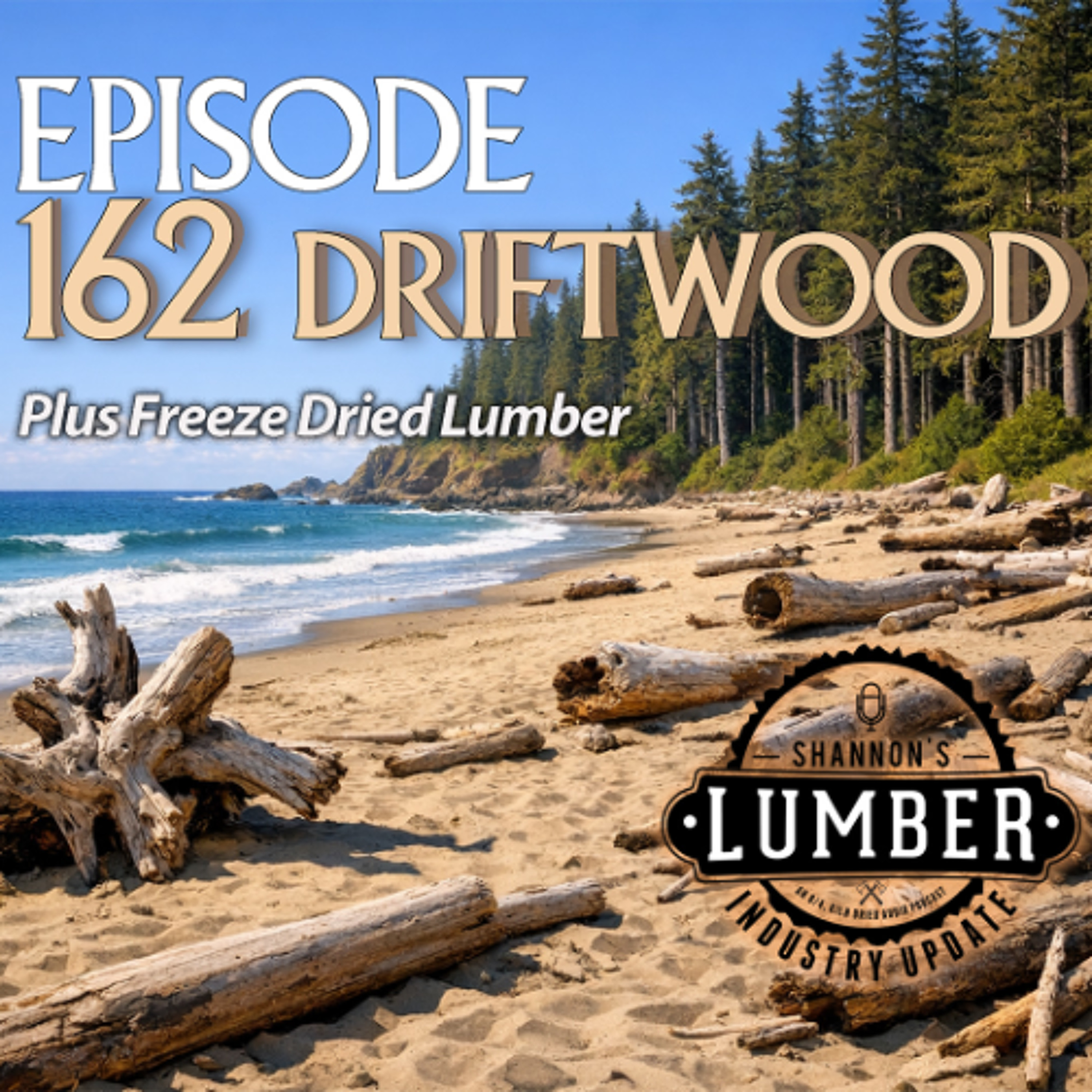 162 - Driftwood