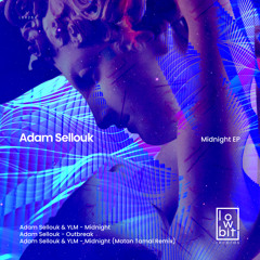 LBR264 Adam Sellouk x YLM - Midnight (Original Mix) [Lowbit]
