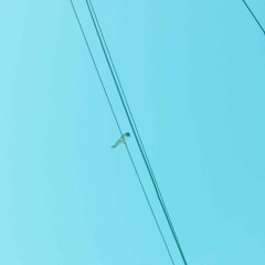 pastel