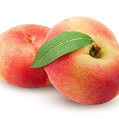 2004 was the year of all time