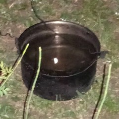 6rba - Fingerlitputstompance