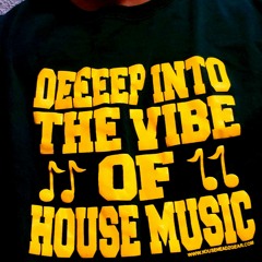 DEEP INTO THE VIBE OF HOUSE