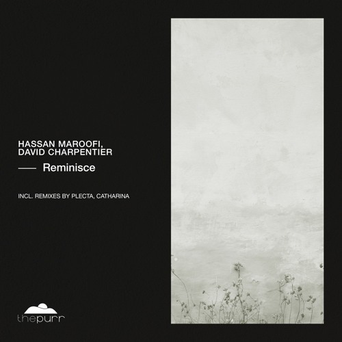 Hassan Maroofi, David Charpentier - Reminisce (Plecta Remix)