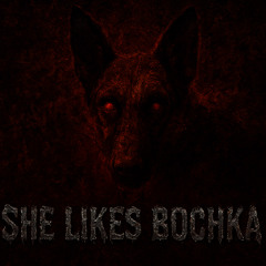 NBSM.Я - SHE LIKES BOCHKA
