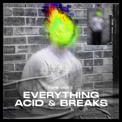EVERYTHING: Acid & Breaks// 001