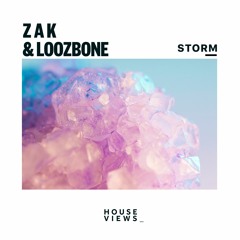 Z A K & LOOZBONE - Storm