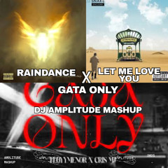 Raindance x Let Me Love You X Gata Only [Amplitude Mashup] *Extra 7 Minutes Due To Copyright*