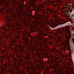american beauty