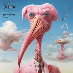 Joel Cantone - Crazy
