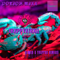 POTION MIXX (TRXPPXD, SLOWED+REMIX)[2/14/2024]