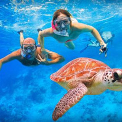 Review Special Price Turtle Canyon Snorkeling Adventure: Small Group (6 Passengers)