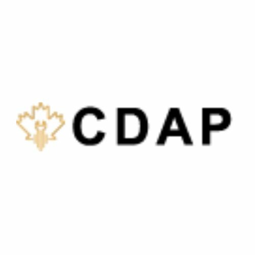 Know More About CDAP And Boost Business With Digital Transformation