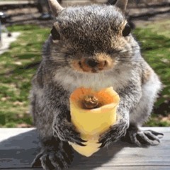 tourettes.m4a w/ Seucci