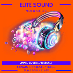 Elite Sound Volume 25 (mixed by lisley & bruks ) (fd)