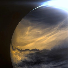 Save Me, From Myself