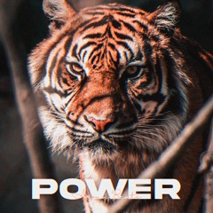 POWER (Arjunveer Singh)