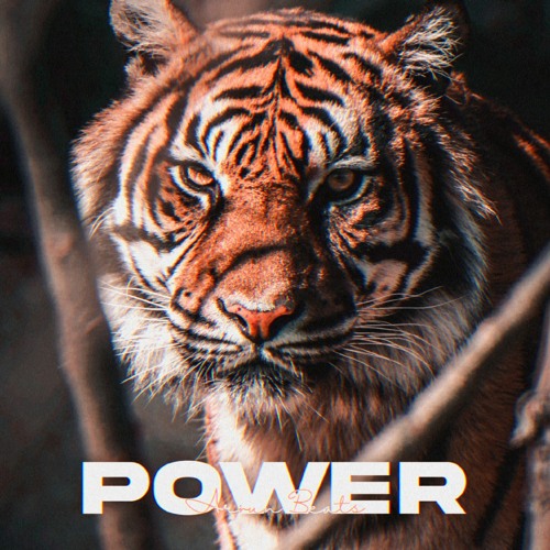 POWER (Arjunveer Singh)