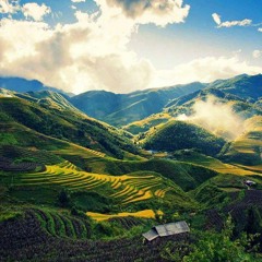Thơ: Việt Bắc (trích) | Tố Hữu (1920-2002) Tiktok Singer: michellengn