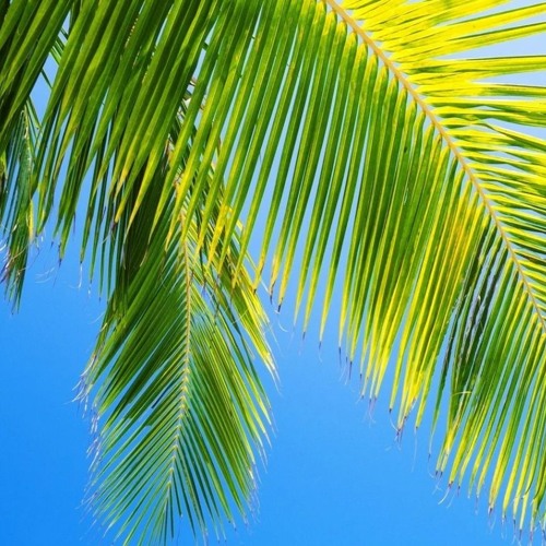 (bloomberg) (états-unis) background hd - Free Download