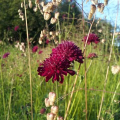 Gymnopedie No 1 - Oboe Backing Track