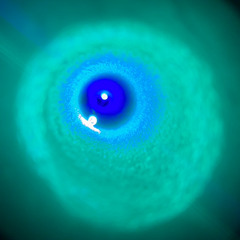 Forest Ft. MarkCastle