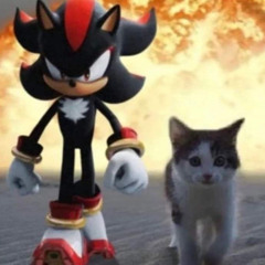 LET ME SEE YA MOVE! - (SPED/PITCHED UP)