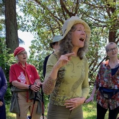 The Butterfly Effect