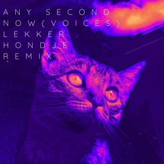 Any Second Now - Sekret Oktober  - Vocals by minimal nomad. Remixed by Lekker Hondje.