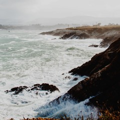 Homestead Thunderstorm