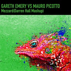 Gareth Emery Vs Mauro Picotto -Mezzard(Darren Hall Mashup)