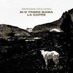 Andrew Dum X Paula Hriscu - M-o Trimis Mama La Capre (Extended)