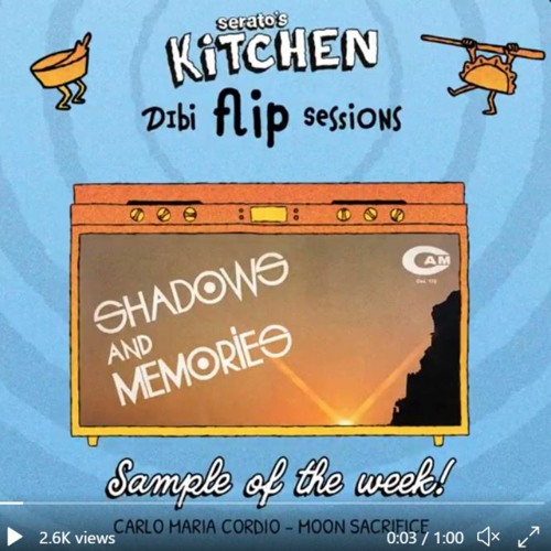 Dutchyyy - Dibiflipsessions ( Portal Snippets)